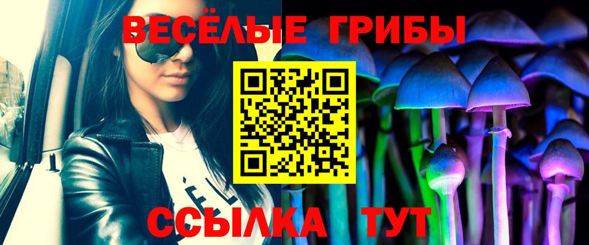 Псилоцибиновые грибы Cubensis  Вход с VPN  Майкоп  Галлюциногенные грибы мухоморы 