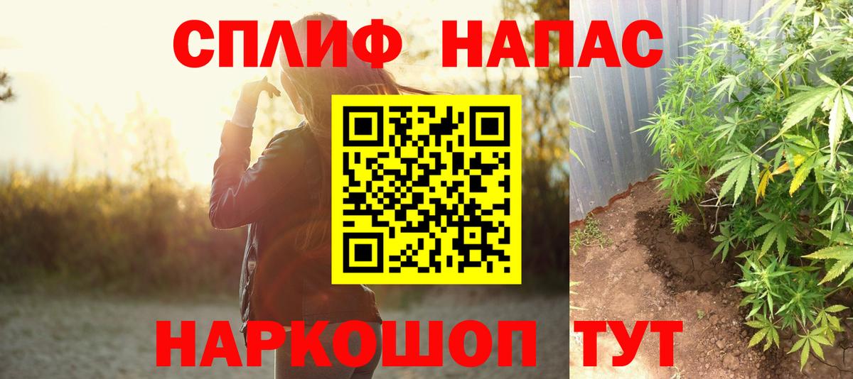 Конопля OG Kush Майкоп